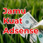 Earning Google Adsense Mau Meningkat? Pakai Jamu Ini!