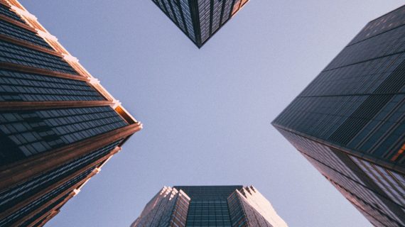 10 Ide Bisnis Bidang Pertanian Ketika Ekonomi Global Diprediksi “Gelap Gulita”