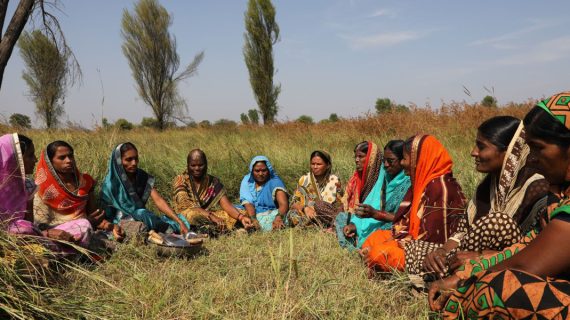 Perkembangan Industri Agrokimia dan Teknologi Pertanian India – 2023